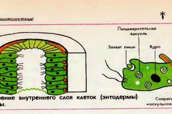 Кракен даркнет регистрация