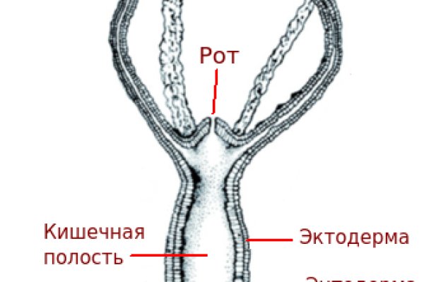 Кракен наркошоп ссылка