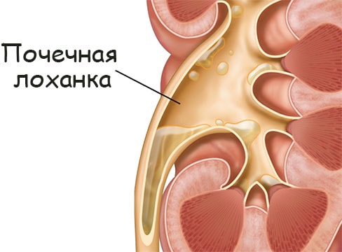 Кракен ссылка на тор официальная онион